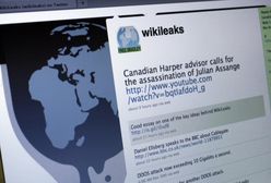 Oskarżono informatora WikiLeaks - grozi mu dożywocie