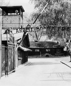 Oskarżony o kradzież napisu z Auschwitz nie przyznaje się
