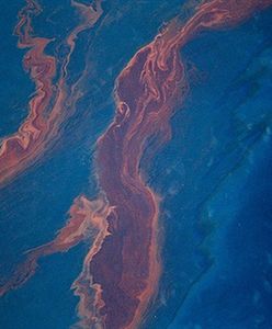 Szyb naftowy w Zatoce Meksykańskiej uszczelniony