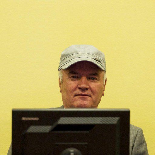Sędzia wyrzucił Mladicia z sali rozpraw