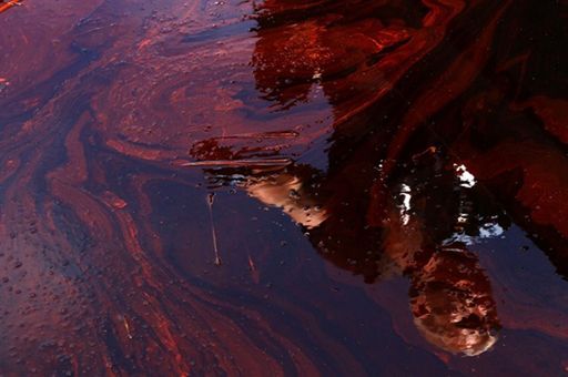 USA: śmierć Lecha Kaczyńskiego porównano z wyciekiem ropy w Zatoce Meksykańskiej