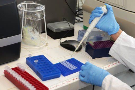 "Science" opublikował przepis na groźnego wirusa ptasiej grypy