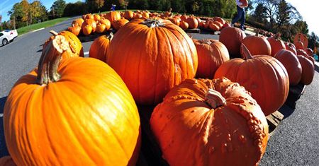 Katolicki ruch potępia Halloween: to ofensywa demonów