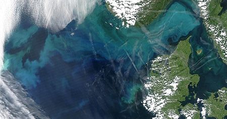 "Chemtrails nad Lublinem" - ostrzeżenia wiszą na słupach