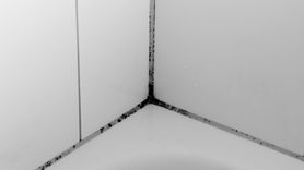 Jak usunąć pleśń z silikonu w kabinie prysznicowej? (WIDEO)