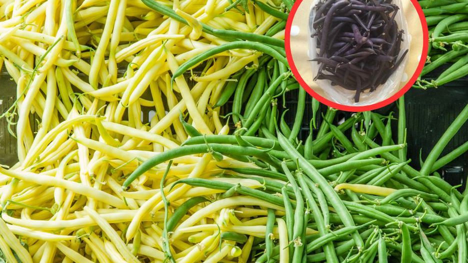 Uwielbiana zwłaszcza latem. W tej wersji zmienia się w truciznę