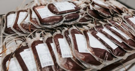 Grupa krwi, która zwiększa ryzyko raka żołądka o kilkadziesiąt procent. "Naukowo udowodnione"
