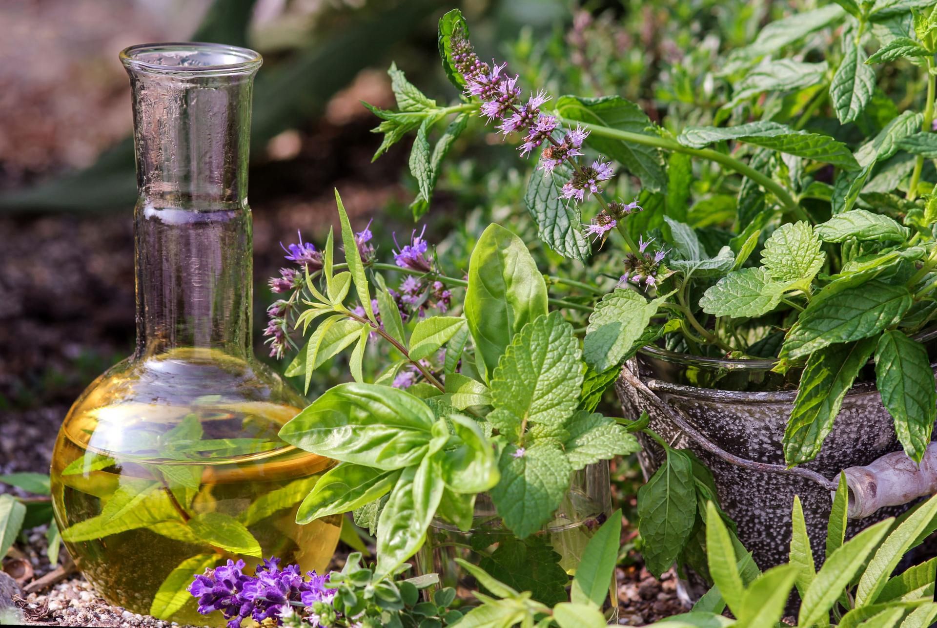 Olejki eteryczne niebezpieczne dla dzieci