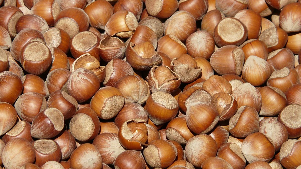 Witaminy z grupy B pełnią szereg funkcji