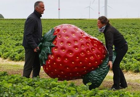 Sezon na truskawkę