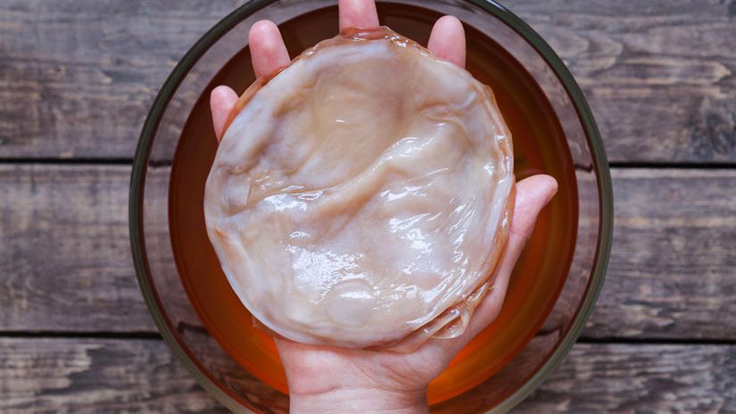 Scoby - co to jest i jak działa?