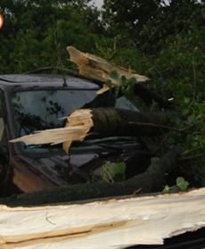 Skutki burz i nawałnic