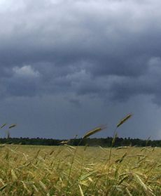 Ciemne chmury nad Polską