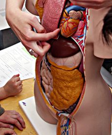 Piknik Naukowy w Warszawie