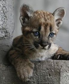 Lato w chorzowskim ZOO