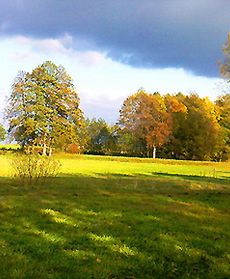 Pani Jesień słońca pełna