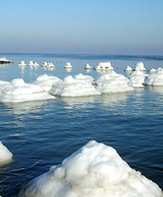 Nadmorskie klimaty zimą