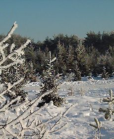 Polska pod śniegiem