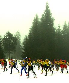 Ślizgiem po śniegu