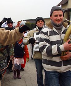 Wodzenie niedźwiedzia