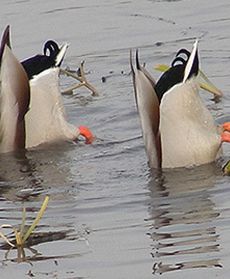 Najlepsze zdjęcia lutego