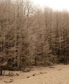 Chile w pyle wulkanicznym