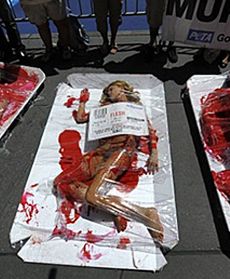 "Mięso to morderstwo"