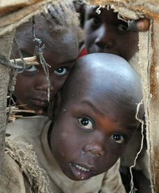 Żyją w nieludzkich warunkach