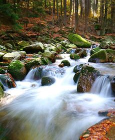 Złota polska jesień