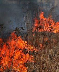 Kłęby dymu i ognia