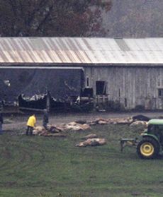 Tragedia na farmie