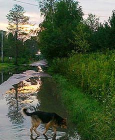 Zniszczone drogi i chodniki