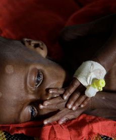 Najmłodsze ofiary suszy