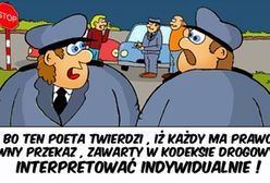 Rzeczywistość w krzywym zwierciadle