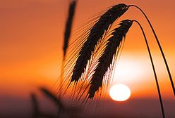 Wszystkie kolory nieba