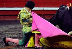 Nastoletni torreador