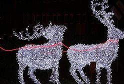 Najjaśniejsza noc w roku