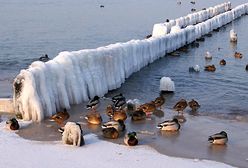 Morze, plaża i śnieg