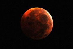 Niezwykłe widowisko