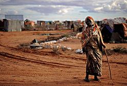 Porzucili wszystko i uciekli