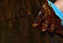 Wybrzeże pokryte ropą