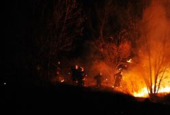 Pożar w Lublinie