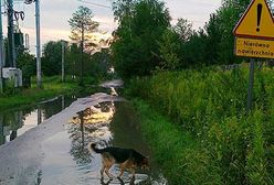 Zniszczone drogi i chodniki