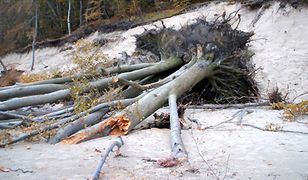 Gdyńskie wybrzeże po sztormie