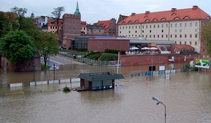 Wisła wlewa się do Torunia