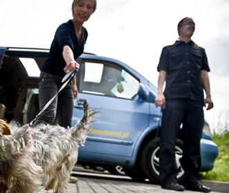 Zwierzęca taksówka