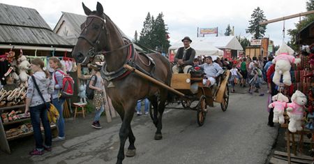 Wakacje w Zakopanem