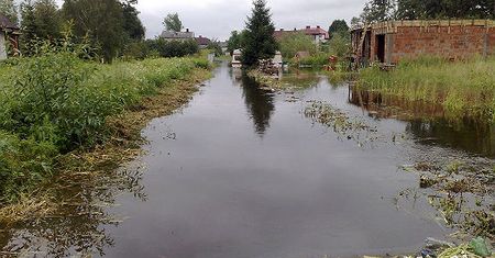 Skutki nawałnic