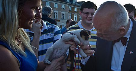 Kandydat z muchą w Warszawie