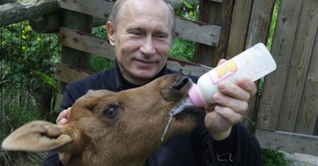 Putin łagodny jak baranek